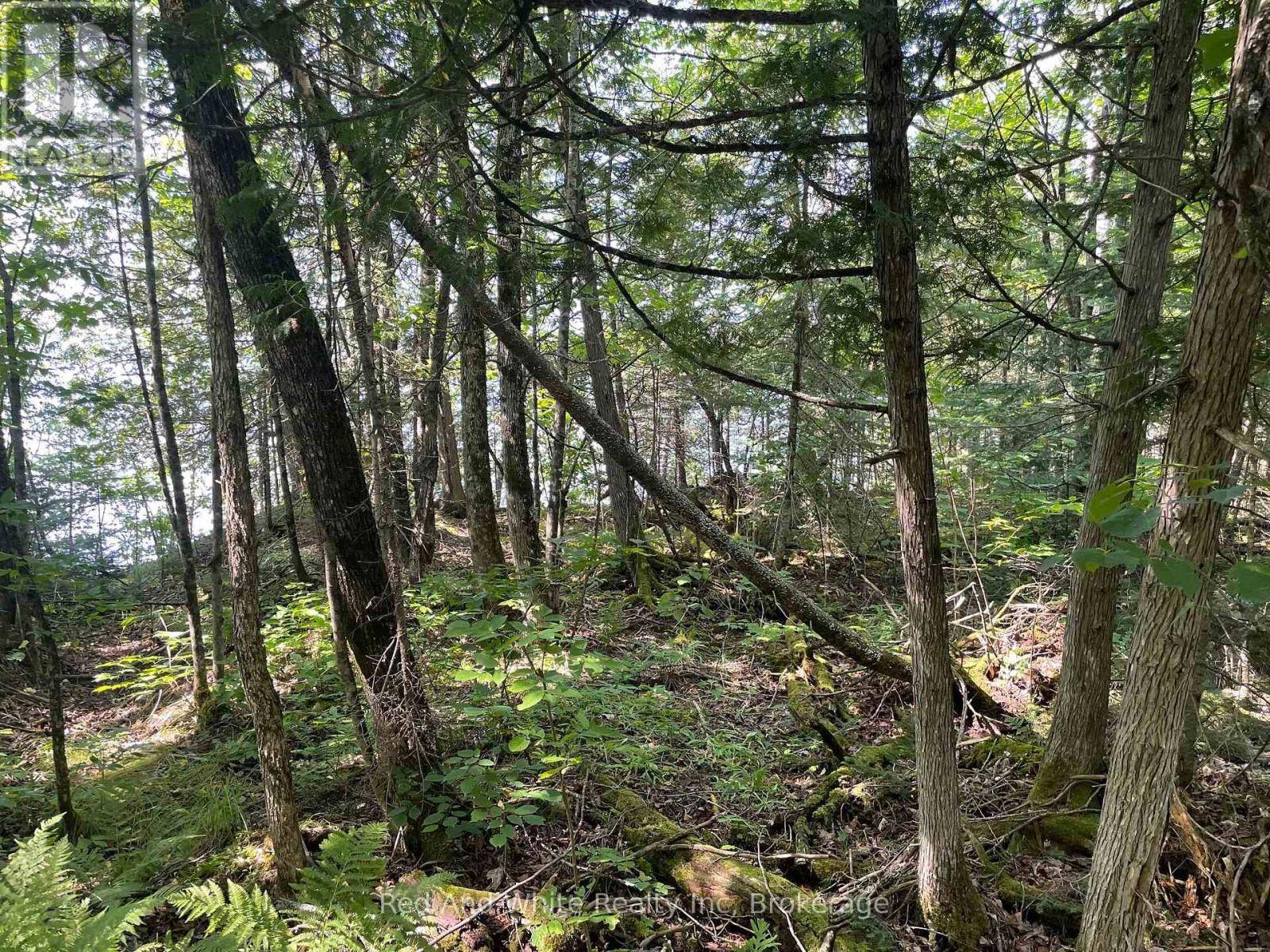 Magnetawan, ON P0A1P0,284 CHAPMAN DRIVE