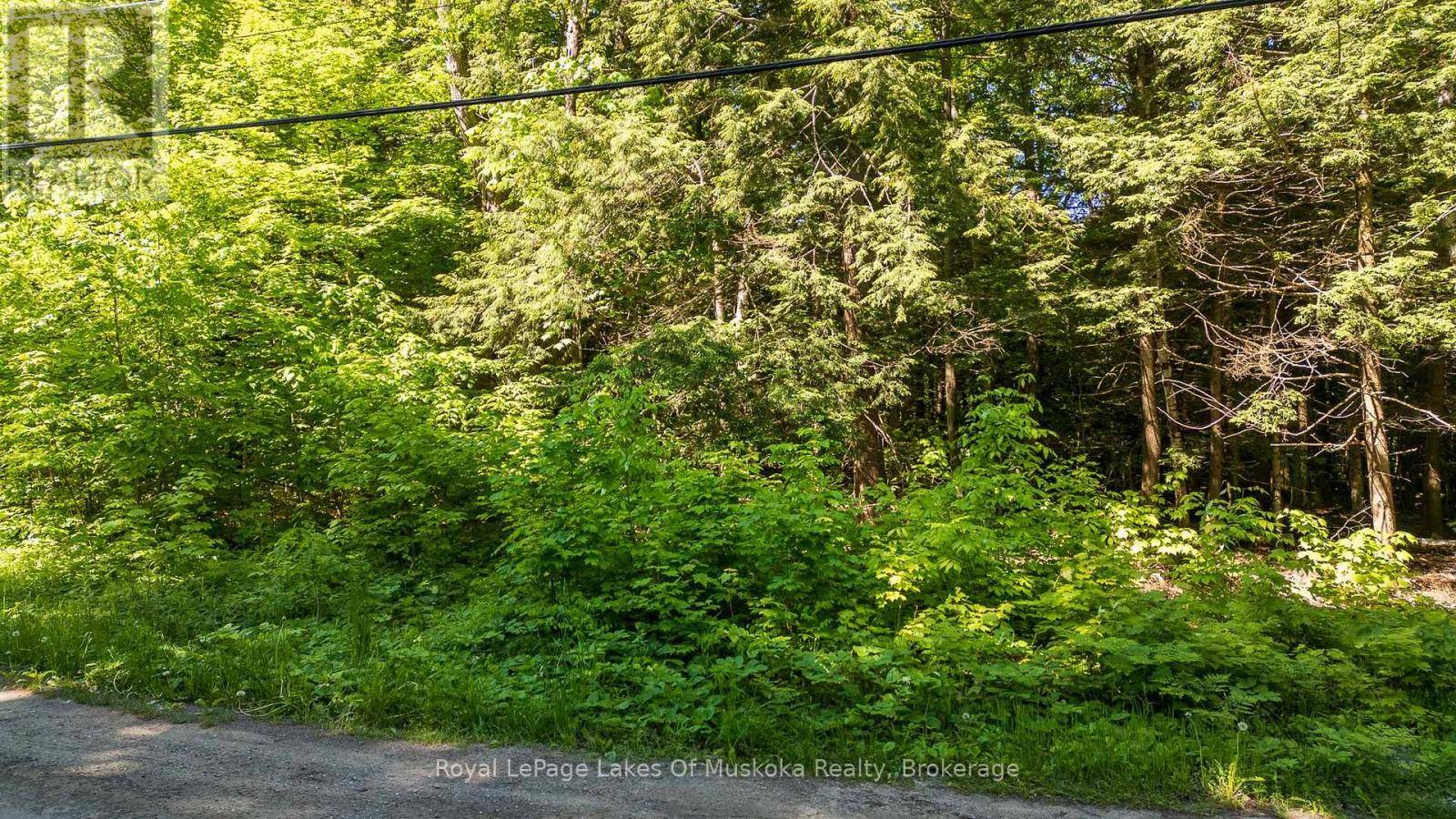 Gravenhurst (morrison), ON P0E1G0,1061 SOUTH MULDREW LAKE ROAD