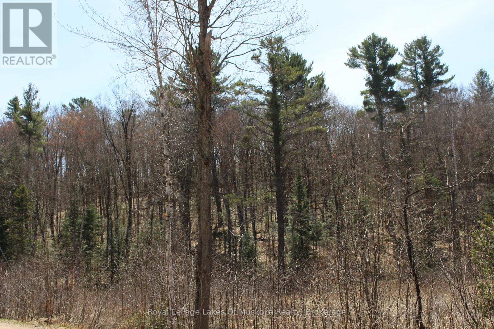 Lake Of Bays (ridout), ON P0B1A0,0000 SOUTH RIL LAKE ROAD