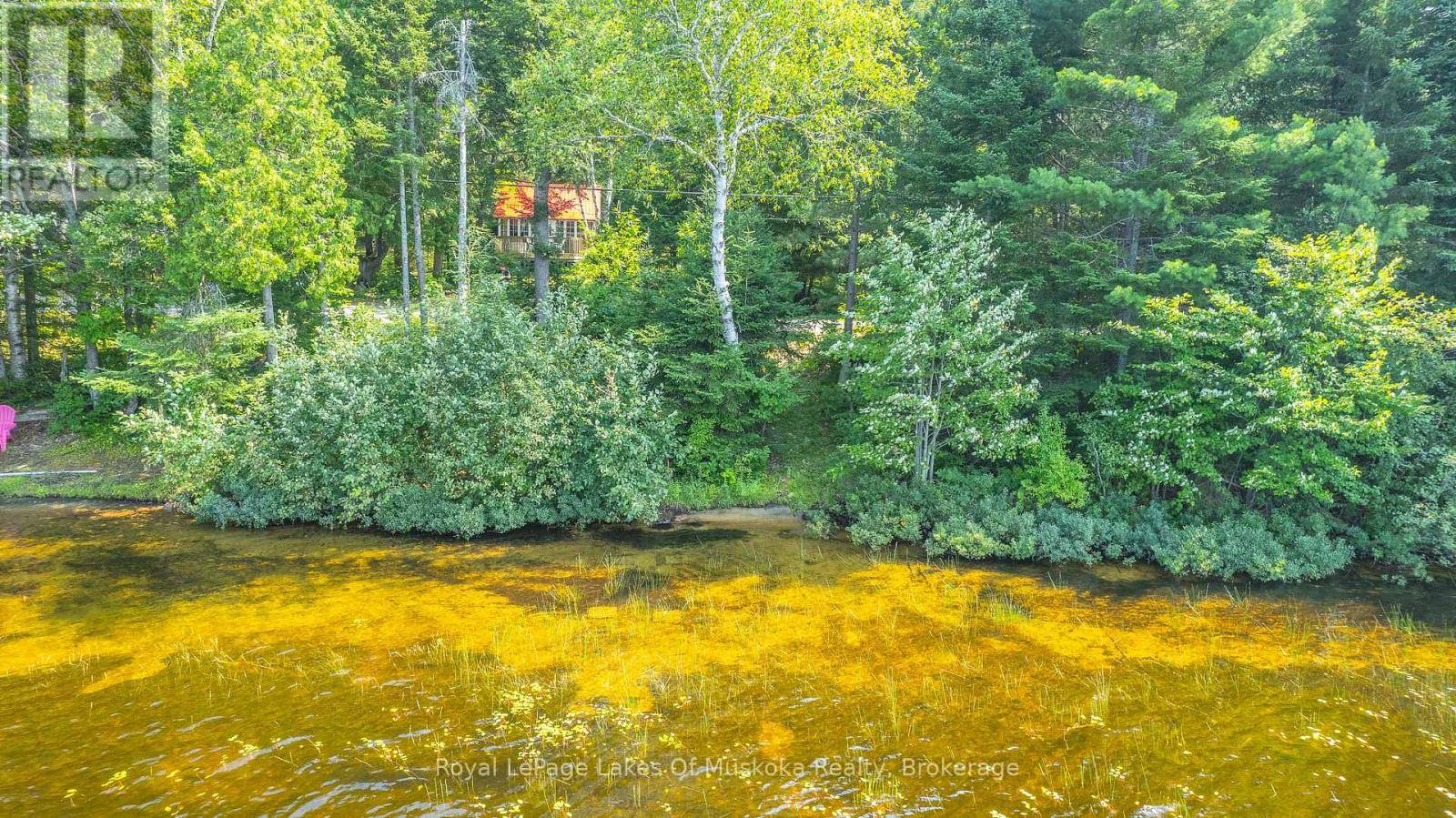 Lake Of Bays (ridout), ON P0A1E0,1257 PAINT LAKE ROAD