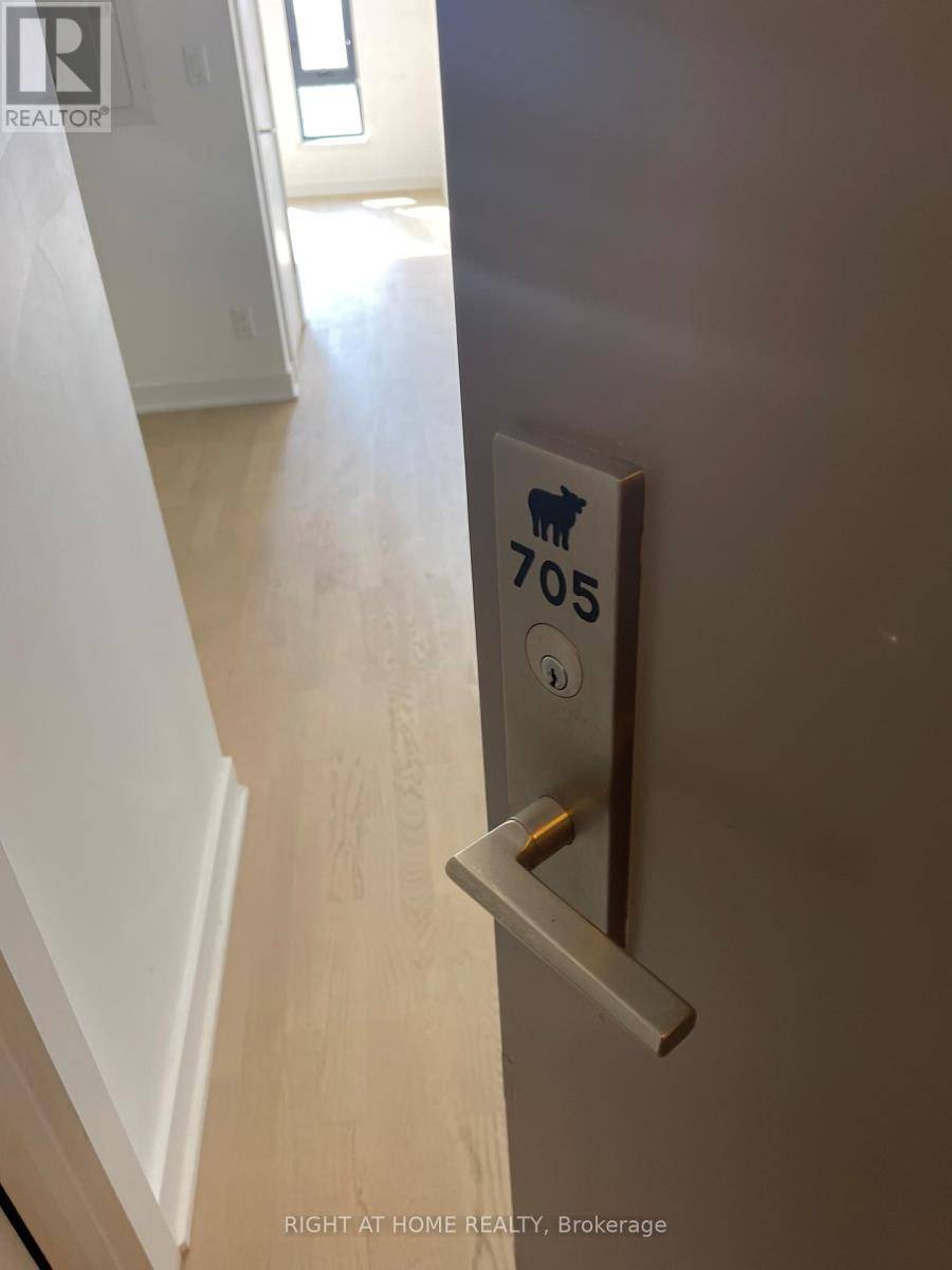 Ottawa, ON K2P1J5,203 CATHERINE ST #705