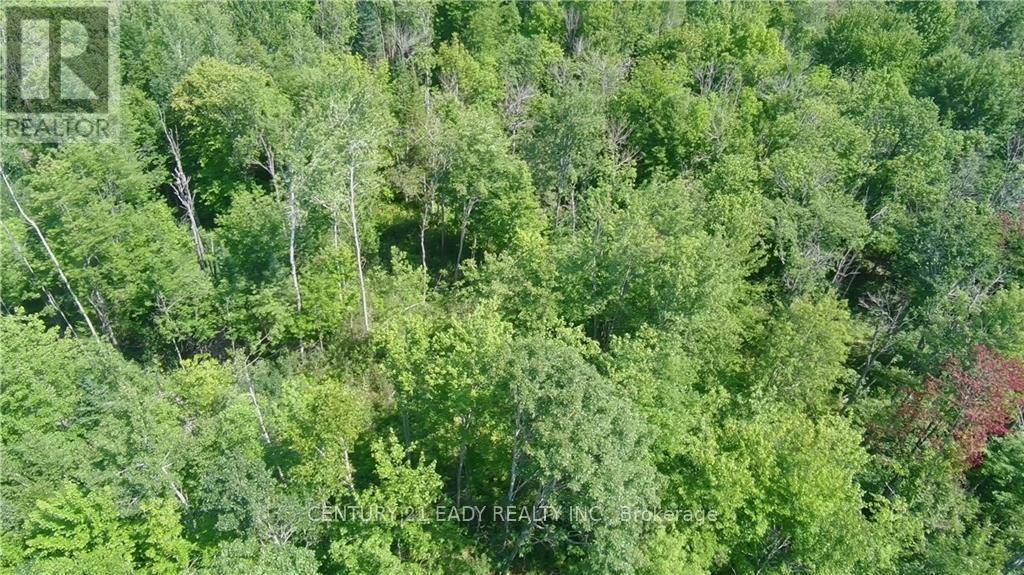 North Algona Wilberforce, ON K8A6W5,00 DORE BAY ROAD