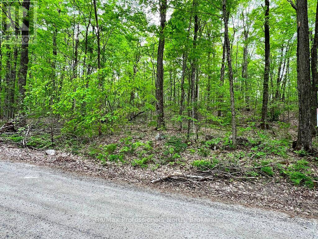 Highlands East (glamorgan), ON K0M1X0,SALERNO LAKE ROAD