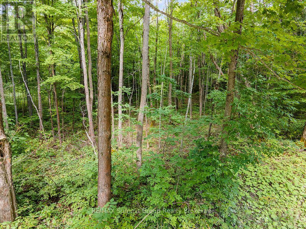 Grey Highlands, ON N0C1E0,LOT 6 10TH CONCESSION