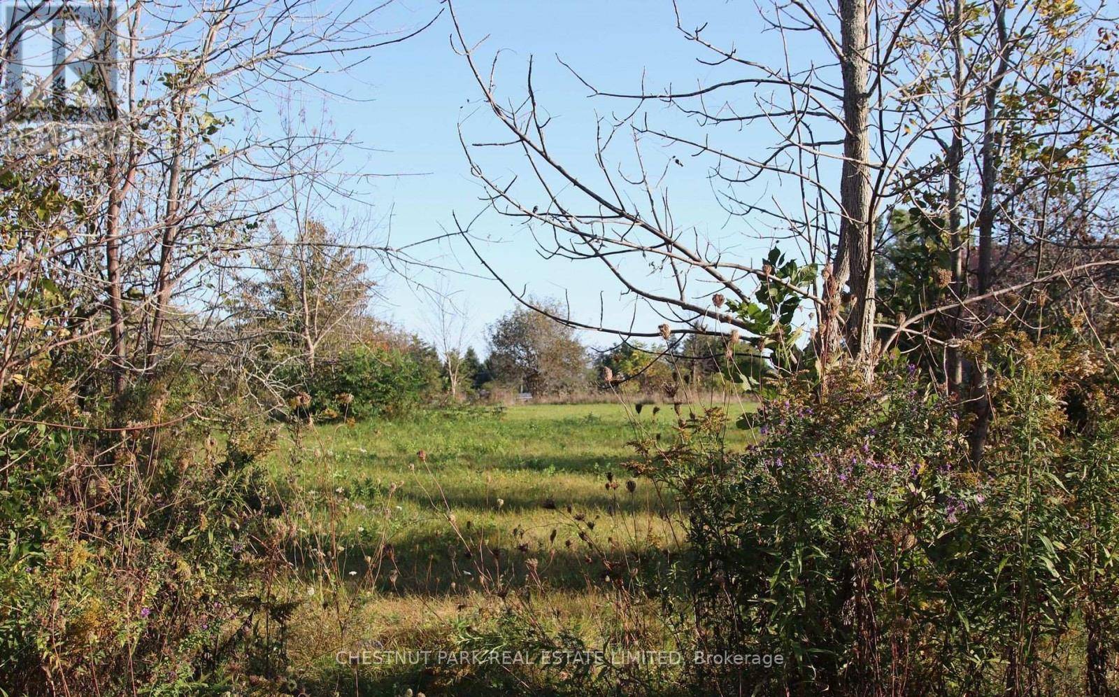 Prince Edward County (north Marysburgh), ON K0K2T0,N/A PRINYERS COVE CRESCENT