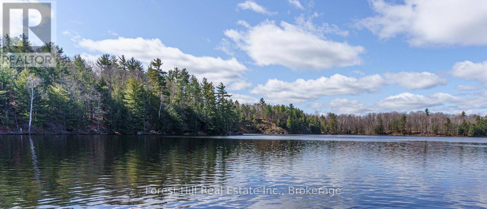 Muskoka Lakes (wood (muskoka Lakes)), ON P0C1A0,0 CLEAR LAKE ROAD