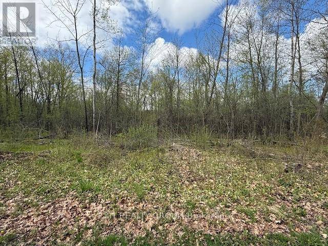 Trent Hills, ON K0K3M0,PT LT 8 CONCESSION ROAD 10