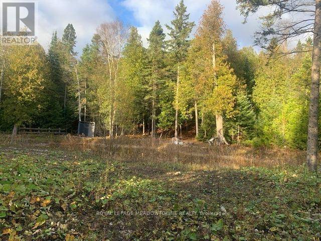 West Grey, ON N0C1H0,126 HIGHLAND DRIVE