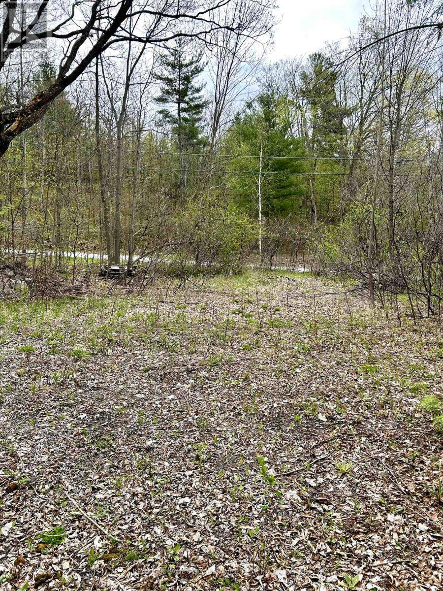 Marmora And Lake (marmora Ward), ON K0K2M0,31 GLEN RIDGE ROAD