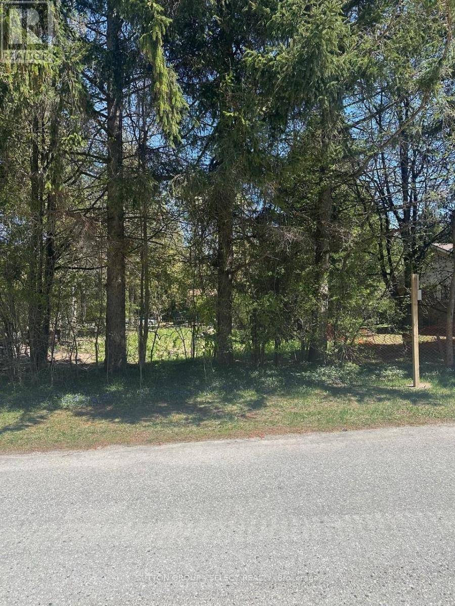 Bluewater (bayfield), ON N0M1G0,14 MACTAVESH CRESCENT