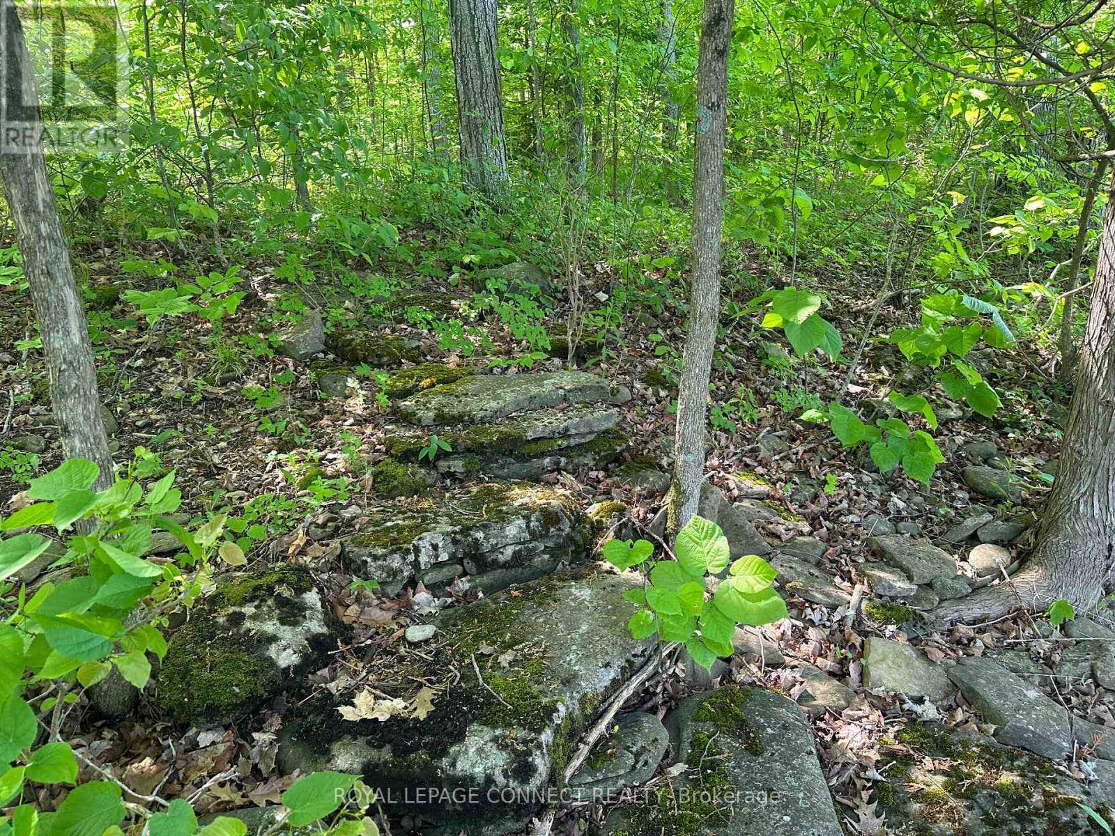 Trent Hills, ON K0L1L0,20 RIVERSIDE DRIVE