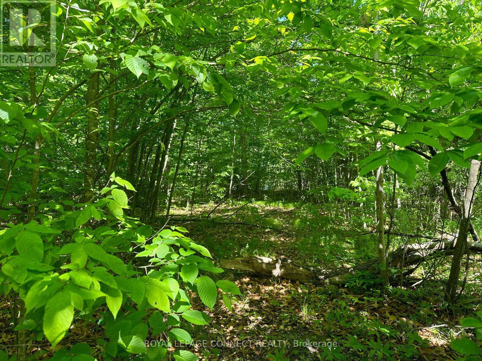 Trent Hills, ON K0L1L0,21 RIVERSIDE DRIVE