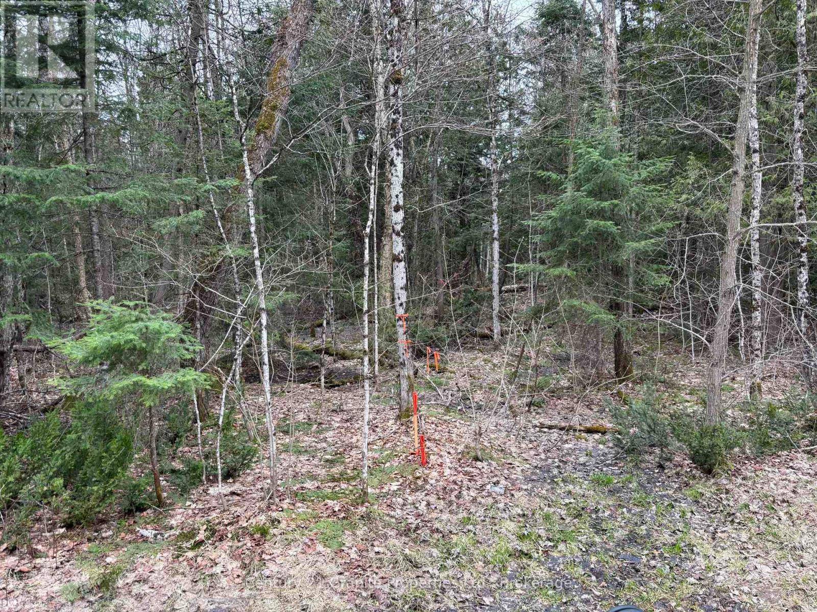Mcdougall, ON P2A2W7,LOT 1 LOCH ERNE ROAD