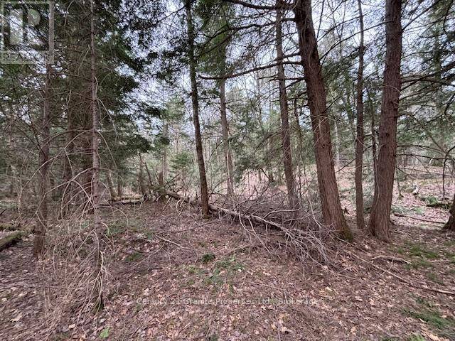 Mcdougall, ON P2A2W7,LOT 2 LOCH ERNE ROAD