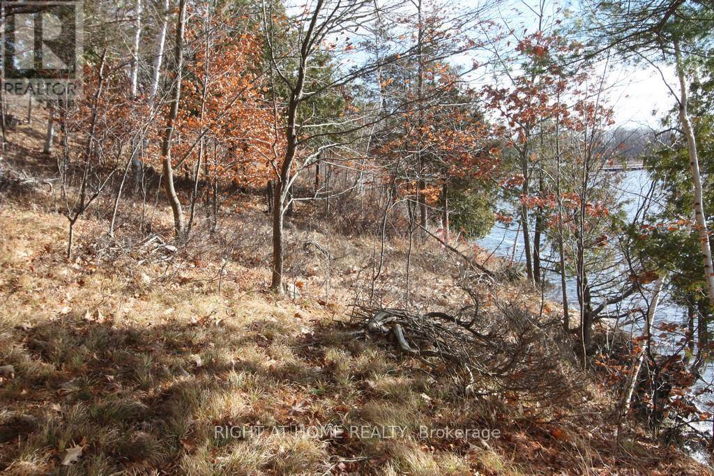 Rideau Lakes, ON K0G1V0,00 HOPPER LANE