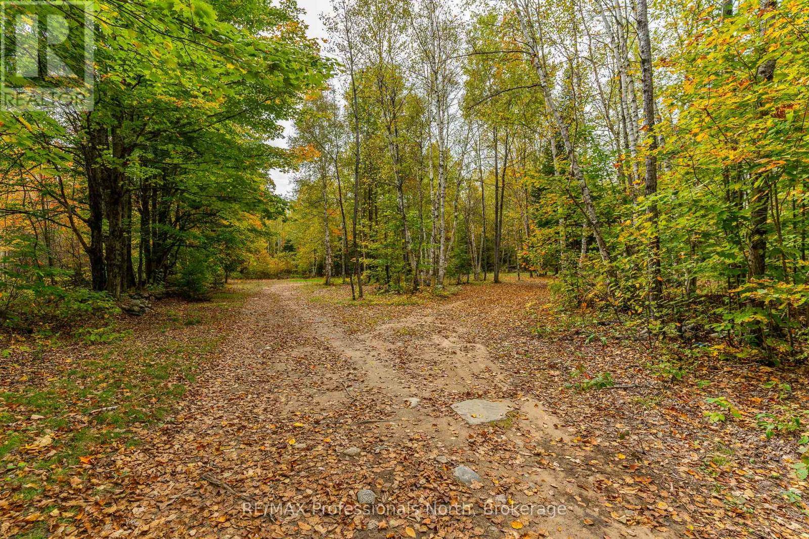 Minden Hills (minden), ON K0M2K0,1600 BOBCAYGEON ROAD