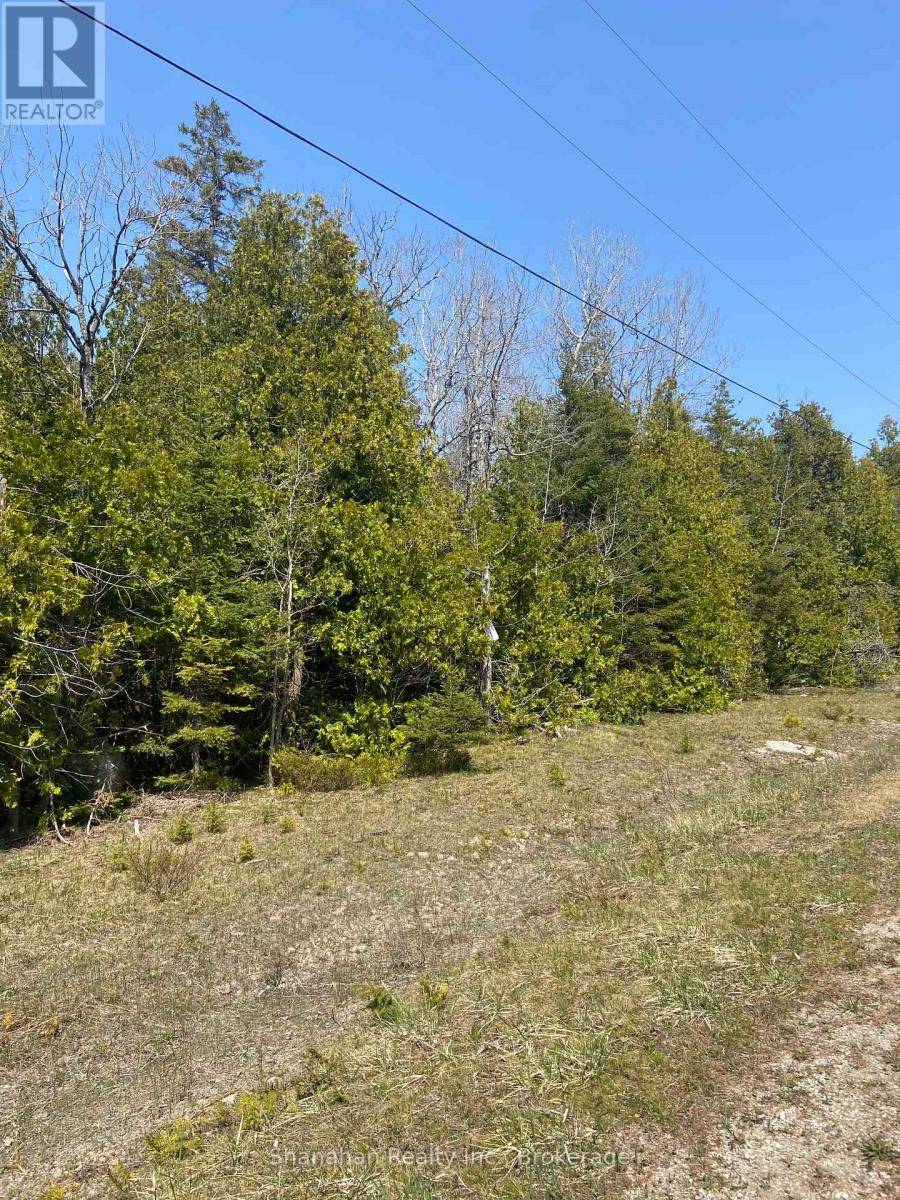 Northern Bruce Peninsula, ON N0H1W0,LOT 11 NORBURN ROAD