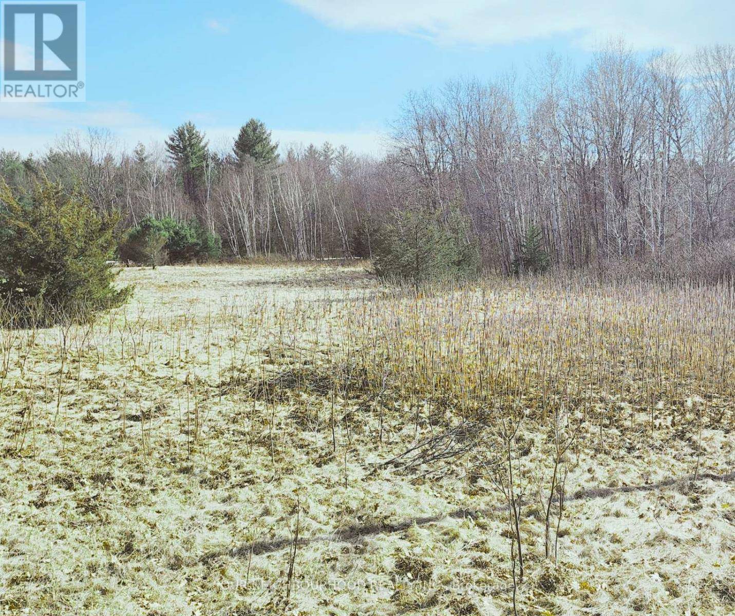 Trent Hills (campbellford), ON K0L1Z0,LOT 14 TRENT RIVER ROAD E