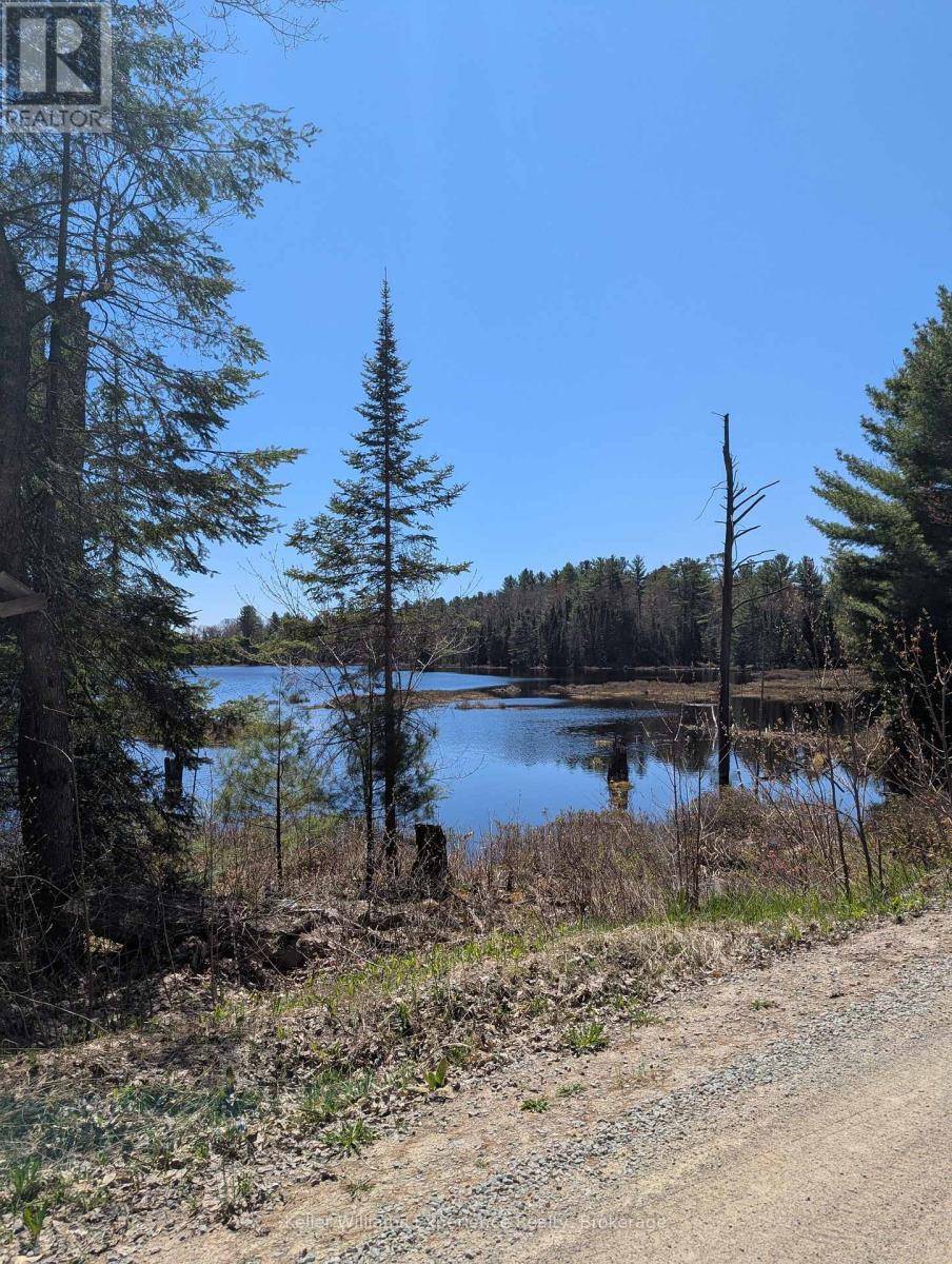 Lake Of Bays (ridout), ON P0B1A0,0 N PINE DRIVE