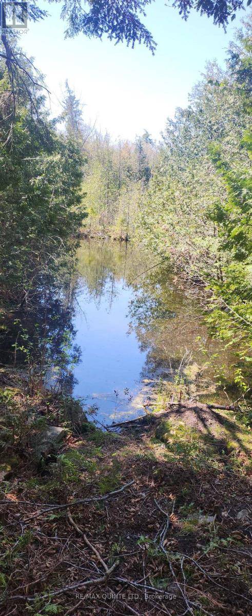 Havelock-belmont-methuen, ON K0L1Z0,00 FIRE ROUTE 67