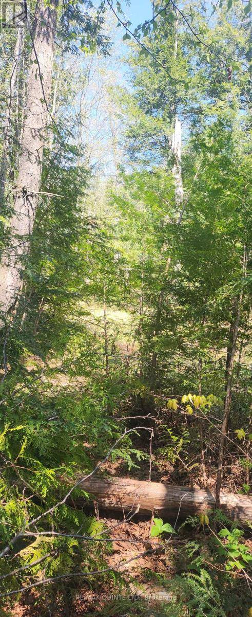 Havelock-belmont-methuen, ON K0L1Z0,00 FIRE ROUTE 67