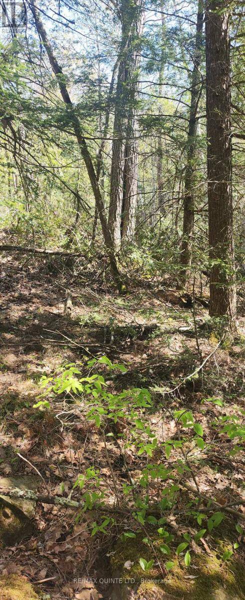 Havelock-belmont-methuen, ON K0L1Z0,00 FIRE ROUTE 67