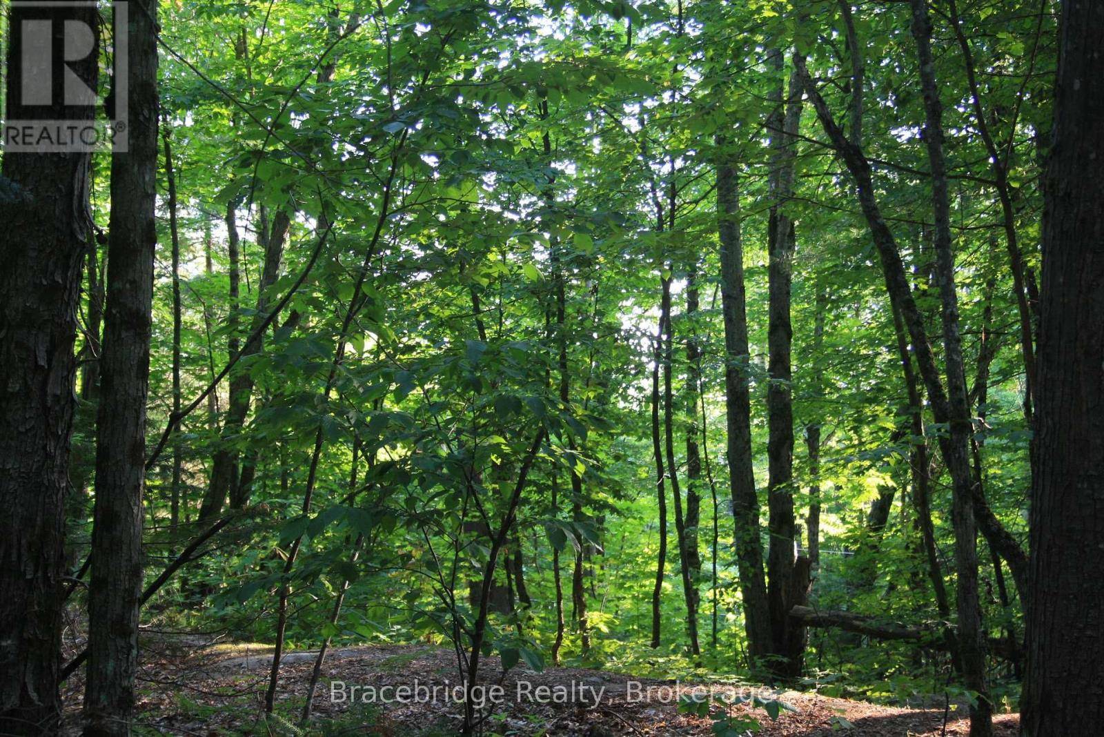 Bracebridge (draper), ON P1L1X1,0 RAINEY ROAD