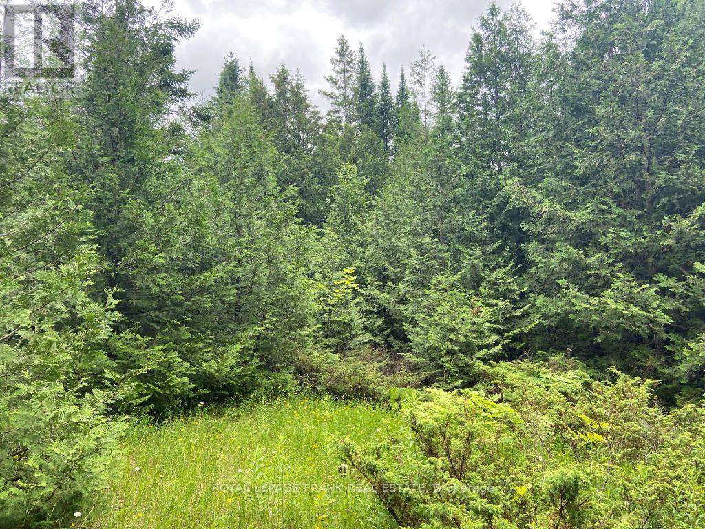Trent Lakes, ON K0L1J0,0 BARCROFT ROAD
