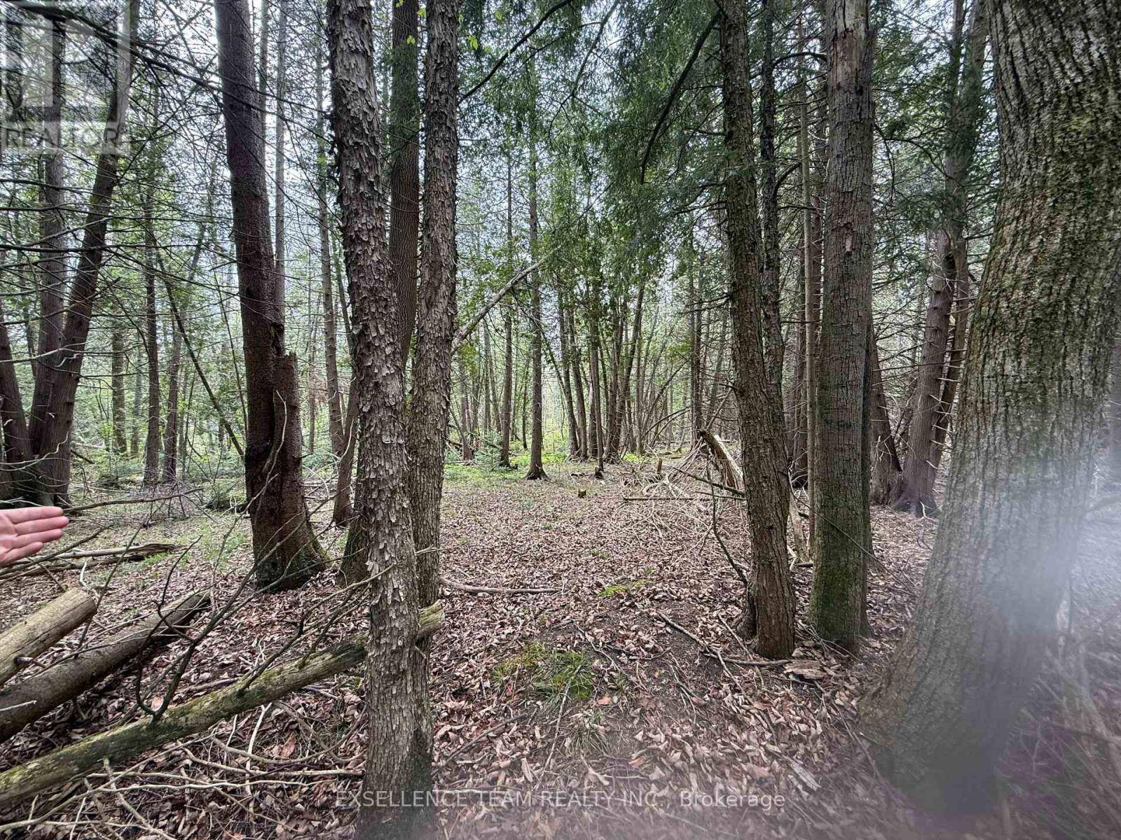 North Glengarry, ON K0C1A0,000 KENYON DAM ROAD S
