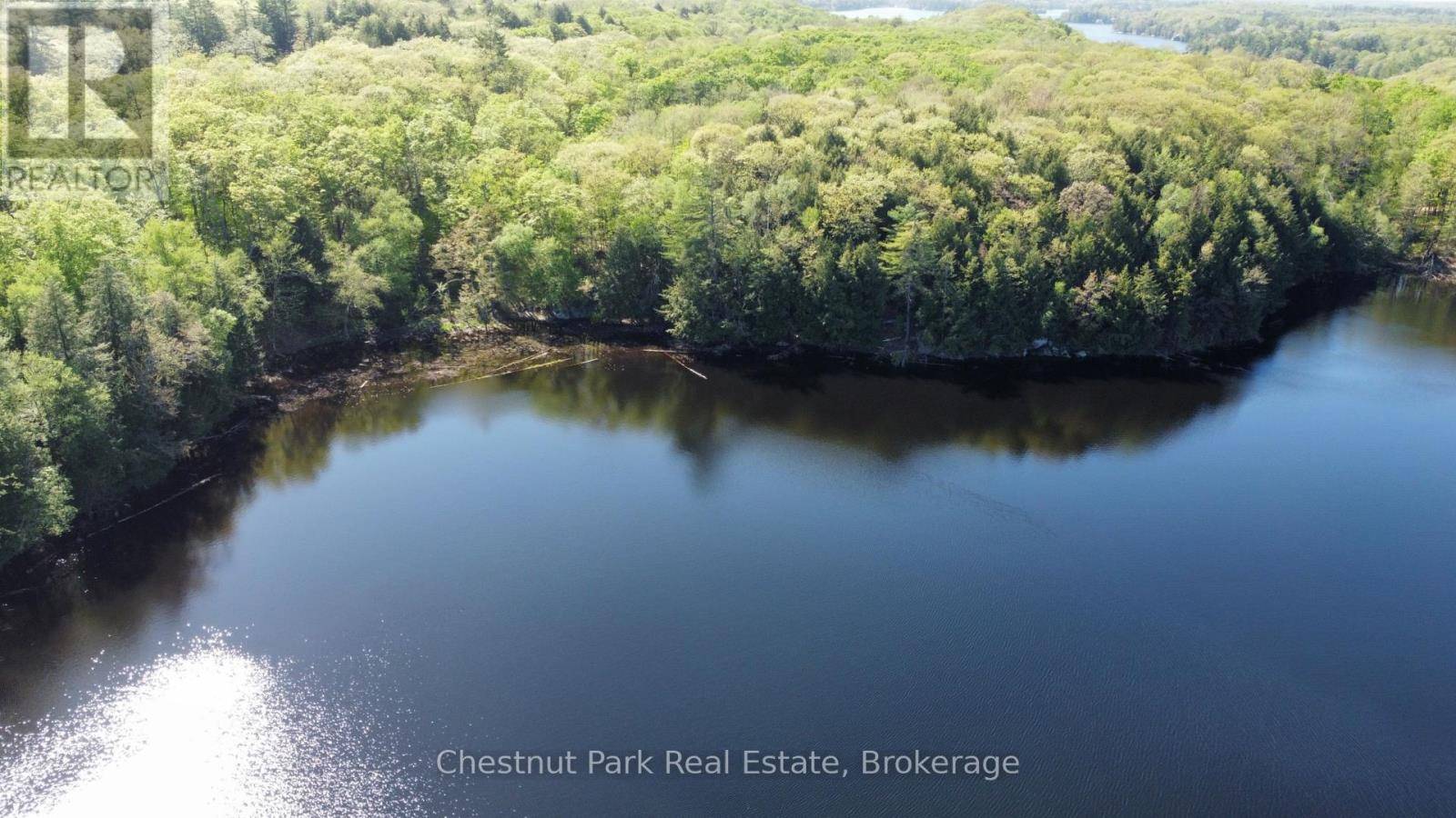 Muskoka Lakes (medora), ON P0B1J0,LOT A PENINSULA ROAD