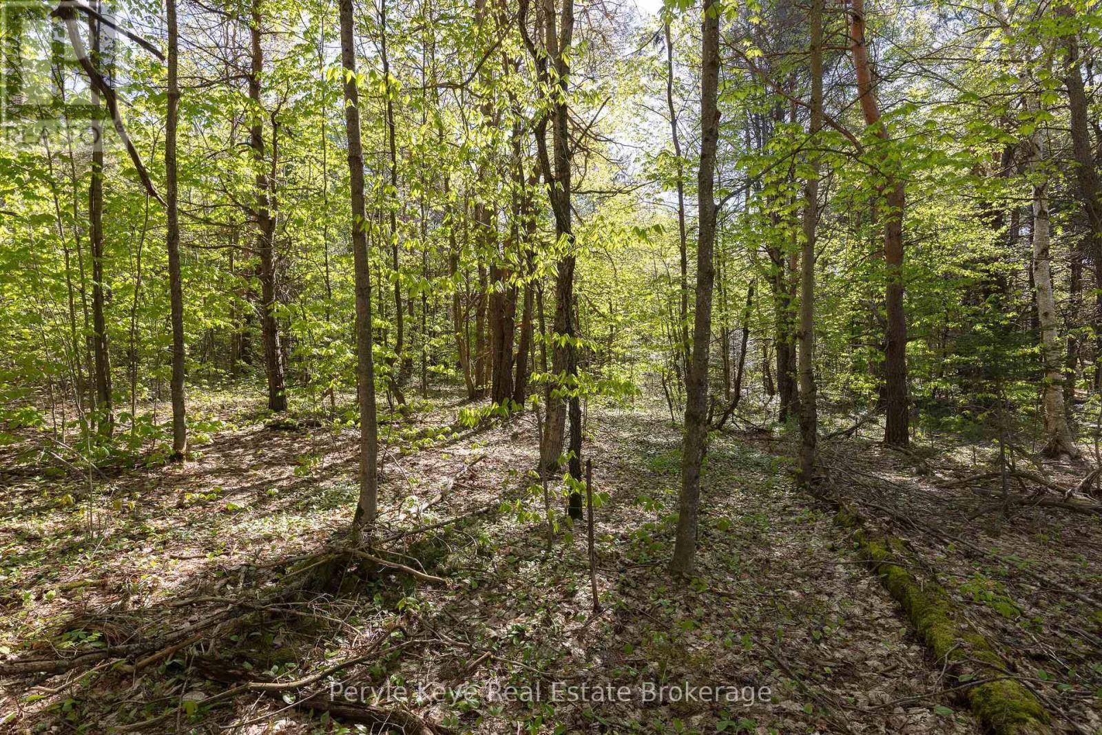 Muskoka Lakes (monck (muskoka Lakes)), ON P1L1X4,N/A HOUSTON ROAD