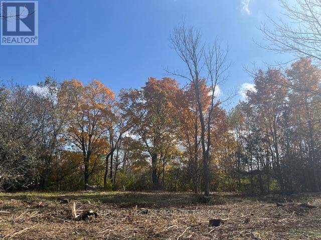 Kingston (city North Of 401), ON K0H1M0,2183 UNITY ROAD