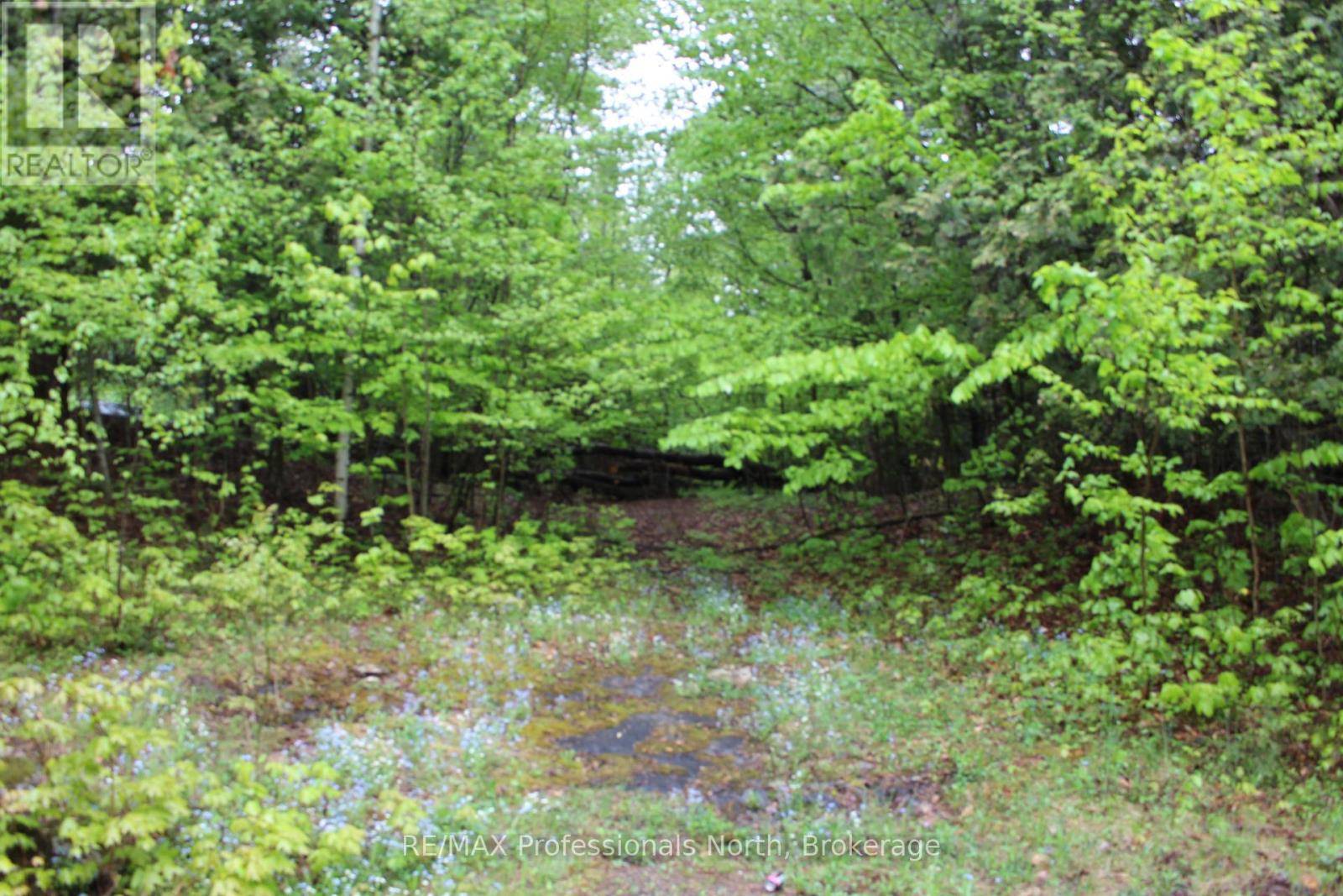 Minden Hills (minden), ON K0M2K0,0 KASHAGAWIGAMOG LAKE ROAD E