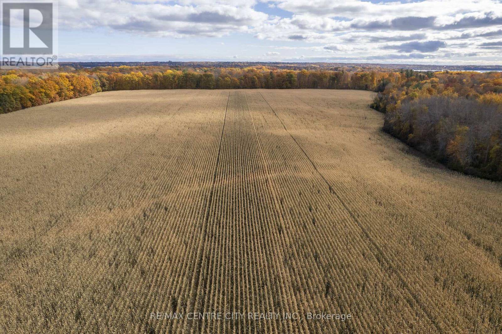 Greater Napanee (greater Napanee), ON K7R3K7,5159 COUNTY ROAD 8 ROAD