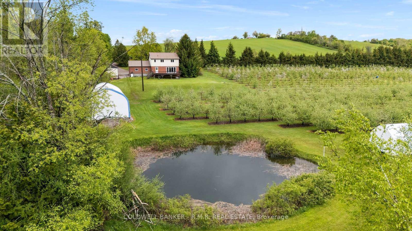 Alnwick/haldimand (grafton), ON K0K2G0,223 TURK ROAD