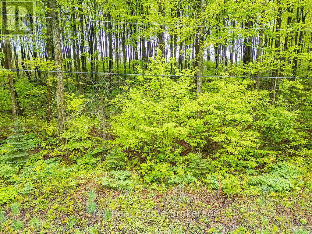 Grey Highlands, ON N0C1H0,PT LT 6 BASELINE ROAD