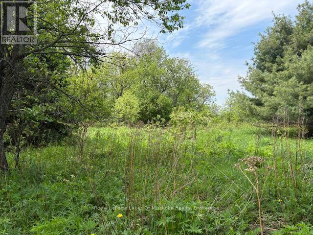 Huntsville (chaffey), ON P1H1L6,351 RAVENSCLIFFE ROAD