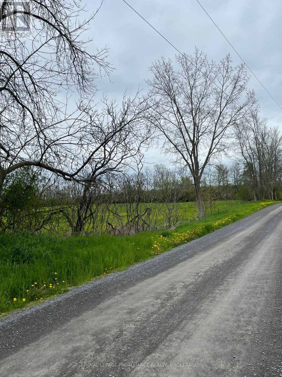 Loyalist (lennox And Addington - South), ON K0H1G0,PT LT 1 TOWNLINE ROAD