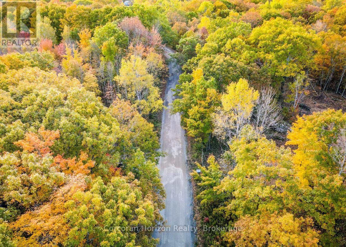Georgian Bay (baxter), ON L0K1S0,87 CORRIEVALE RD #Lot A