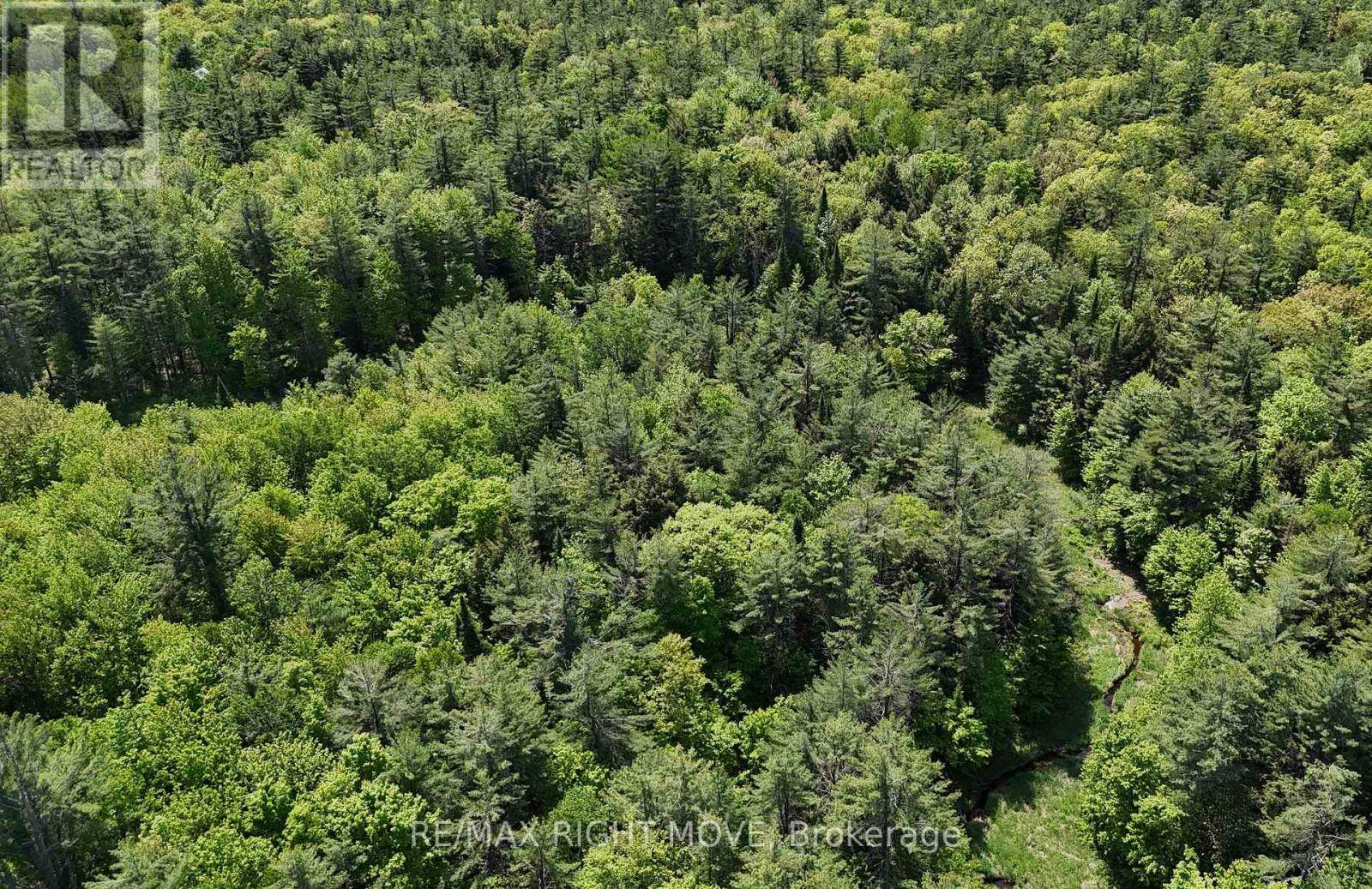 Gravenhurst (morrison), ON P0E1G0,2159 SOUTHWOOD ROAD