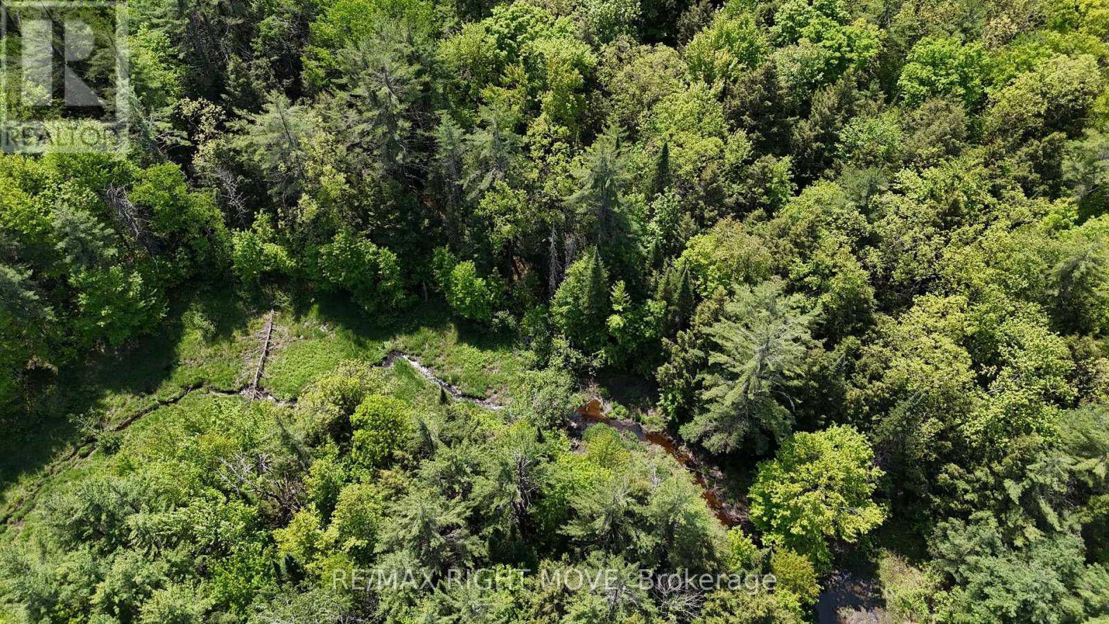 Gravenhurst (morrison), ON P0E1G0,2159 SOUTHWOOD ROAD