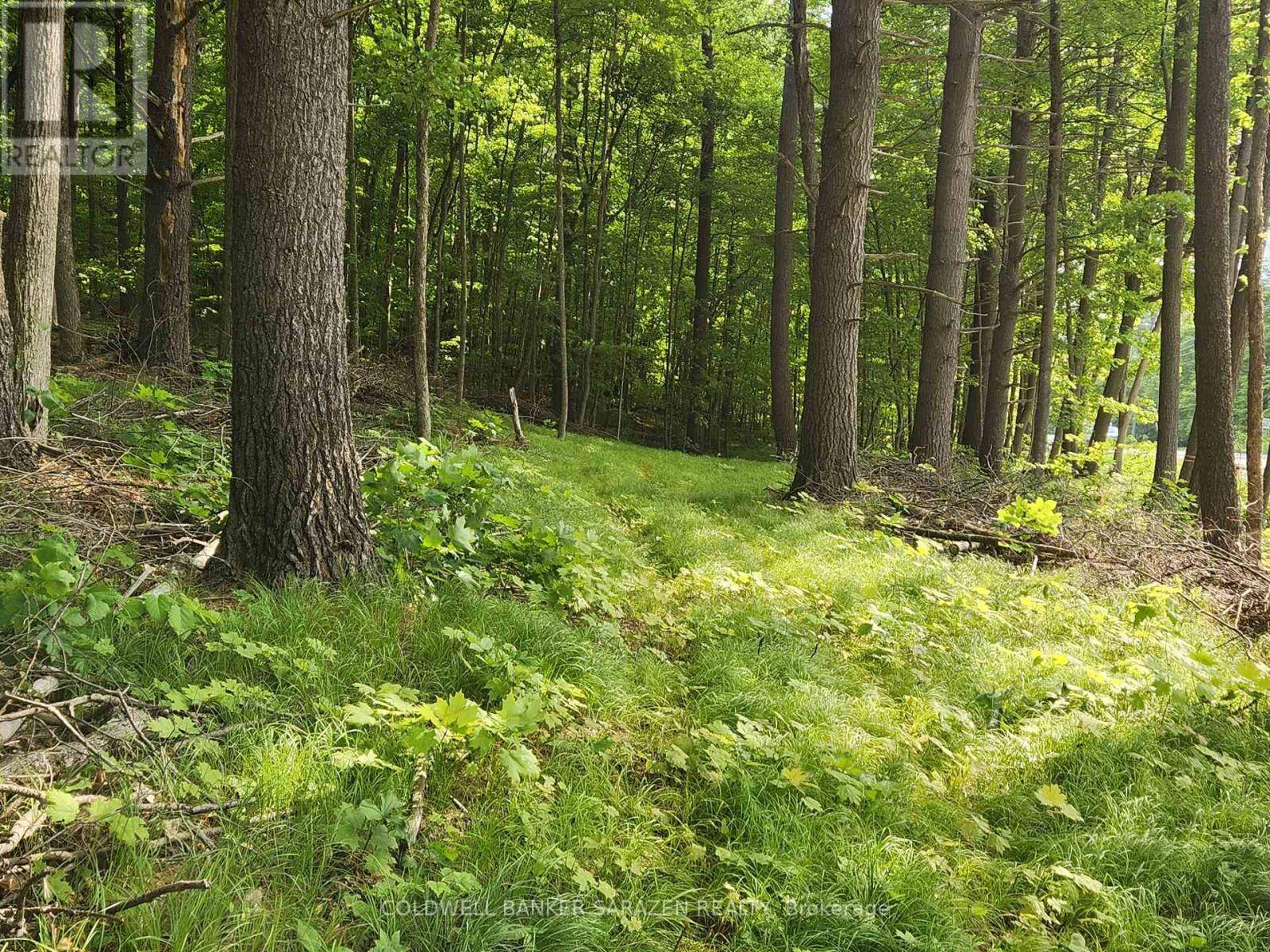 Mcnab/braeside, ON K0A1G0,1680 CALABOGIE ROAD