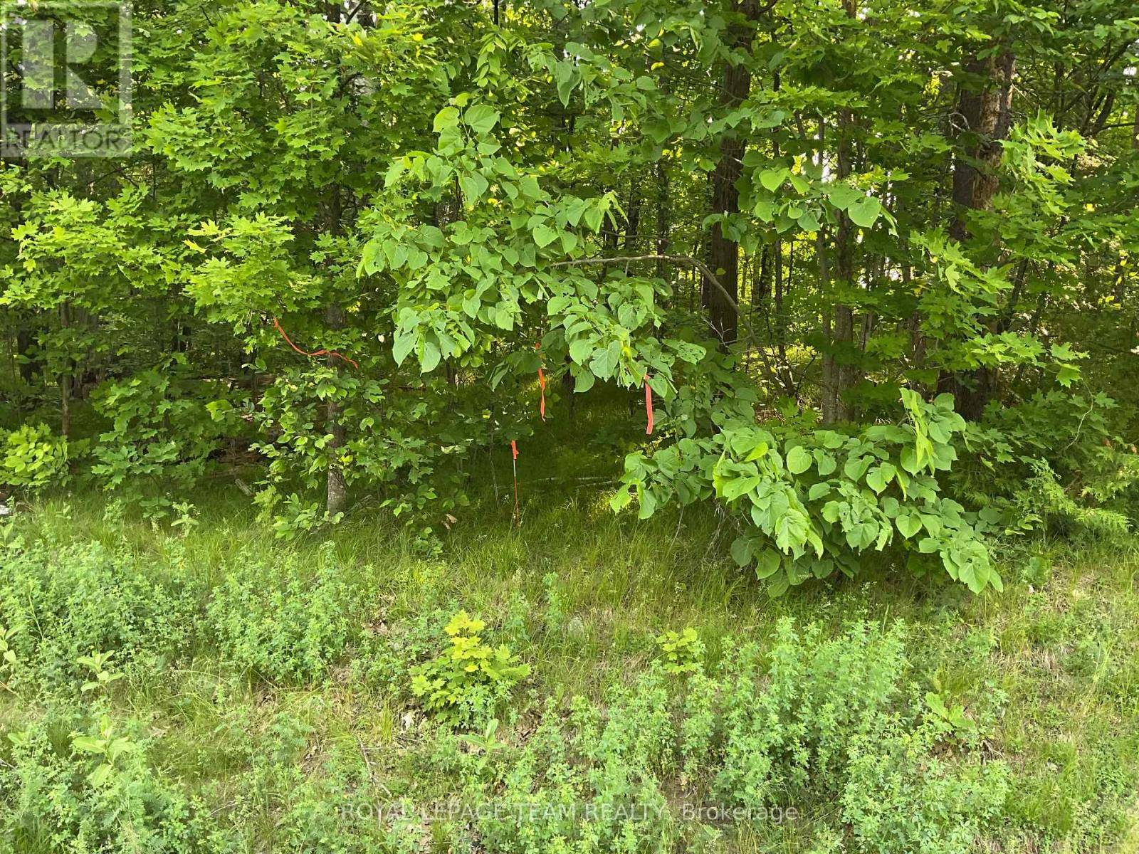 Lanark Highlands, ON K0G1K0,0 CTY RD 511 ROAD