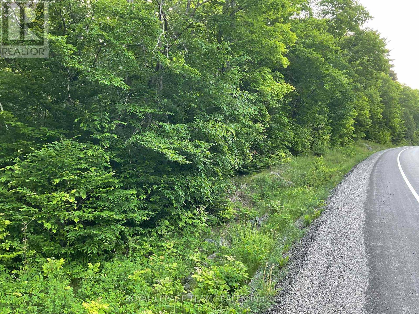 Lanark Highlands, ON K0G1K0,0 CTY RD 511 ROAD