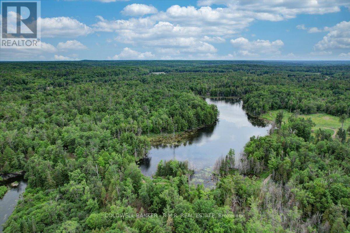 Trent Lakes, ON K0M1A0,N/A BASS LAKE ROAD