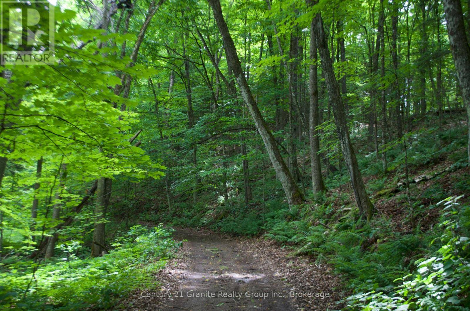 Dysart Et Al (dysart), ON K0M1S0,LOT 10 LOON LAKE ROAD S