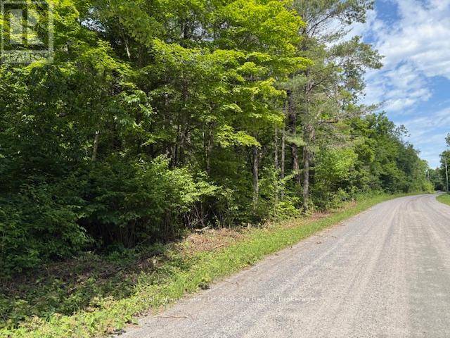 Sundridge, ON P0A1Z0,0 FOREST LAKE ROAD