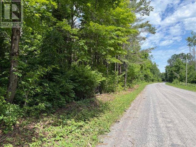 Sundridge, ON P0A1Z0,00 FOREST LAKE ROAD