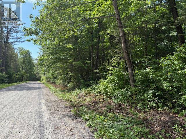Sundridge, ON P0A1Z0,00 FOREST LAKE ROAD