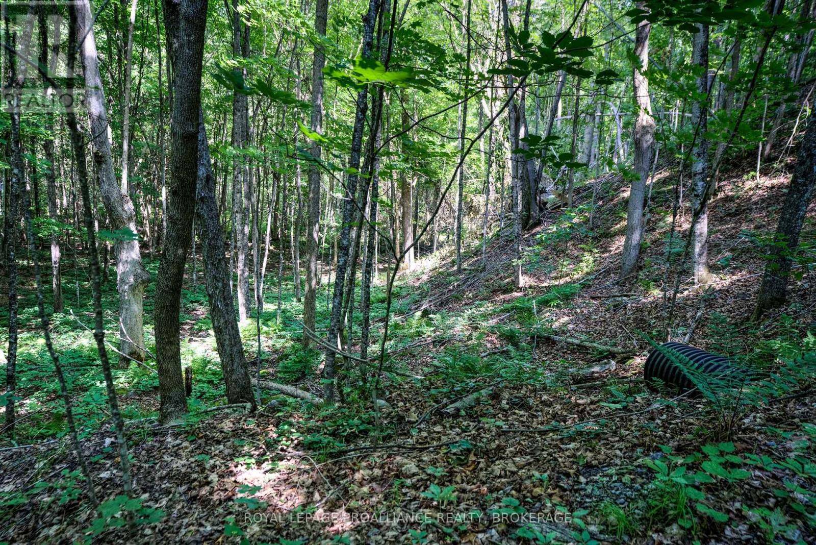 Rideau Lakes, ON K0G1X0,98 ROCKY RIDGE LANE